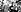 Karriere bei planting Karriere bei planting